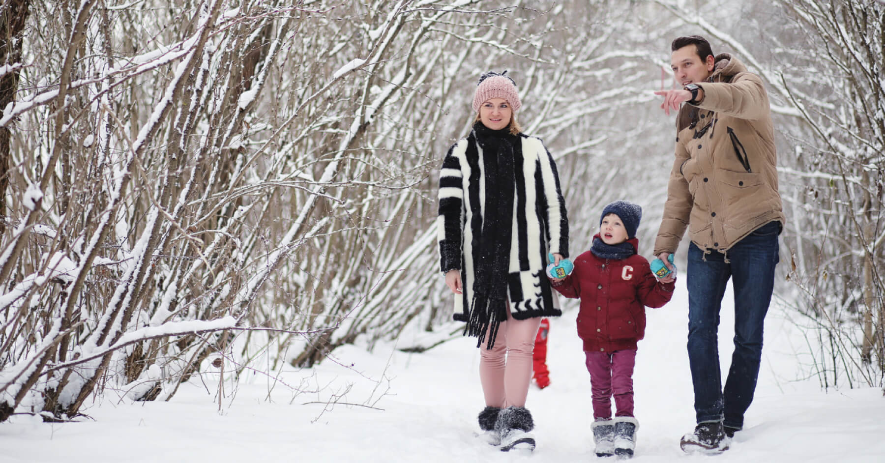 Retirement Income Strategies (1)